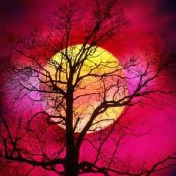 Meet your Posher, Christie - Picture 1 of 1